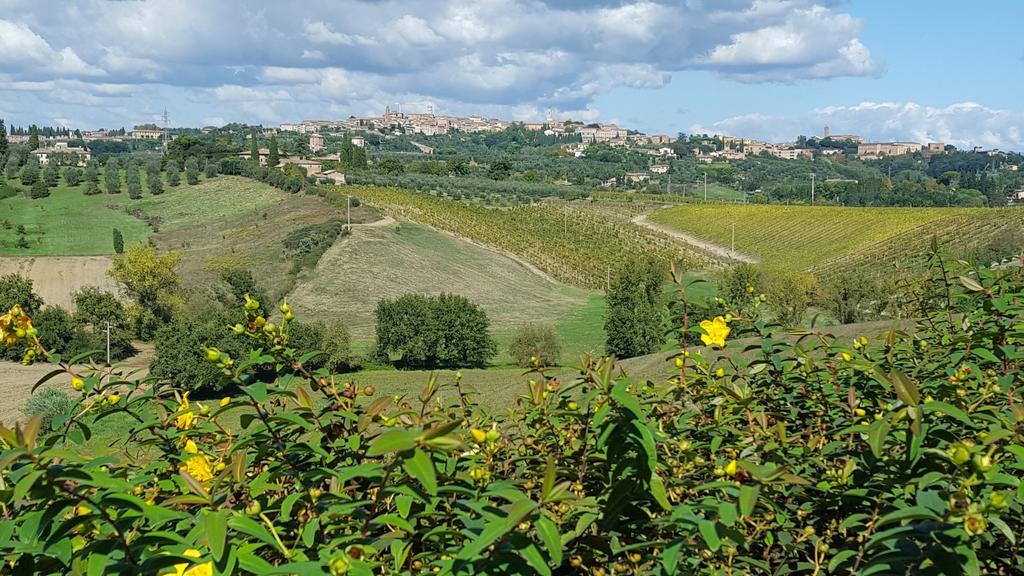 Aia Mattonata Relais Bed & Breakfast Siena Exterior photo